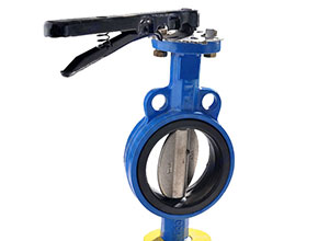 Wafer Type Butterfly Valve
